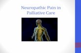 Neuropathic Pain in Palliative Care - heeoe.hee.nhs.uk · •Pain is common in advanced cancer •The nature of this pain is complex •Neuropathic pain is more severe and more difficult