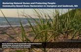 Restoring Natural Dunes and Protecting People: Community ... · Restoring Natural Dunes and Protecting People: Community Based Dune Restoration in Hampton and Seabrook, NH Alyson