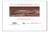 Western Spiny-tailed Skink (Egernia stokesii) …environment.gov.au/.../files/e-stokesii.pdfWestern Spiny-tailed Skink (Egernia stokesii) National Recovery Plan Wildlife Management