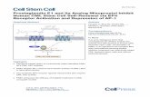Prostaglandin E1 and Its Analog Misoprostol Inhibit Human CML …cmlc.ml/community.lls.org/topic/17336-prostaglandin-e1-and-its-anal… · 07-09-2017  · Fengyin Li,1 Bing He,2,3