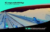 Capability Overview - TS Global€¦ · Capability Overview. Since 2007 TS Global has specialised in the manufacture of a comprehensive range of high quality conveyor accessories