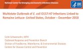 Multistate Outbreak of E. coli O157:H7 Infections Linked ... · Case Definition Infection with E. coli O157:H7 Isolation date during 10/1/2018 to 1/9/2019 PFGE XbaI/BlnI pattern combination