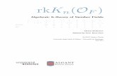 Algebraic K-theory of Number Fields - ALGANTalgant.eu/documents/theses/beshenov.pdf · So Gauss, Dirichlet, Kummer, and Dedekind were all actually studying algebraic K-theory of number