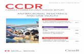 CCDR · 2019-07-24 · CCDR CANADA COMMUNICABLE DISEASE REPORT ANTIMICROBIAL RESISTANCE AND ONE HEALTH. November 2, 2017 • Volume 43-11. Rapid communication. Hepatitis A virus infection