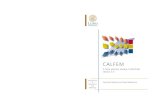 Calfem - A finite element toolbox to MATLAB, version 3 · The name CALFEM is an abbreviation of ”Computer Aided Learning of the Finite Element Method”. The program can be used