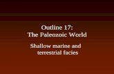 The Paleozoic Worldpages.geo.wvu.edu/~kammer/g3/PaleozoicEnv.pdfCoal Deposits •Most of the world’s coal deposits formed during the Carboniferous. Why? •Woody plants evolved in