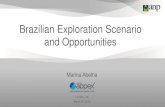 Brazilian Exploration Scenario and Opportunities · Brazilian Exploration Scenario and Opportunities Marina Abelha London, UK ... (ANP/IBAMA joint Environmental Database) Reserve