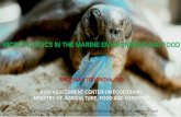 MICROPLASTICS IN THE MARINE ENVIRONMENT AND FOODcorhv.government.bg/files/Постери и презентации/Presentation... · In recent years, plastic pollution has received