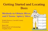 Methods to Obtain Hives - Virginia Tech...Capturing a Swarm Swarms are generally easy to collect. Bees clustered in a swarm can be shaken in to a hive or other container. A hive body