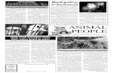 ANIMAL PEOPLEnewspaper.animalpeopleforum.org/wp-content/uploads/2016/... · 2003-10-11  · Alaska,” recalls mute swan defender Kathryn Burton, of Old Lyme, Connecticut, ”a plan