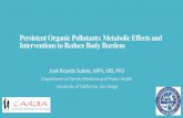 Persistent Organic Pollutants: Metabolic Effects …Persistent Organic Pollutants: Metabolic Effects and Interventions to Reduce Body Burdens José Ricardo Suárez, MPH, MD, PhD Department