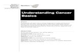 Understanding Cancer Basics...If lung cancer spreads to the liver, the lung cancer is said to have metastasized to the liver. The tumor in the liver is called metastatic lung cancer.