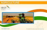 AGRICULTURE - IBEFwheat, paddy, fruits and vegetables FY2016 Food grain production: 253.16 million tonnes 2020-21 Food grain production: 280.6 million Advantage India AGRICULTURE Robust