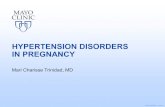 HYPERTENSION DISORDERS IN PREGNANCY · • Define hypertension disorders in pregnancy • Describe current understanding of the pathophysiology of preeclampsia • List risk factors