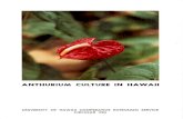 Anthurium Culture in Hawaii · ANTHURIUM CULTURE IN HA WAIi Tadashi Higaki and Donald P. Watson . INTRODUCTION . The anthurium, Anthurium andraeanum, a native of Central America,