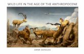 WILD LIFE IN THE AGE OF THE ANTHROPOCENE...WILD LIFE IN THE AGE OF THE ANTHROPOCENE A field guide to Indian dioramas Cover: High on a hill lived some lonely goats 2018. Pigment ink