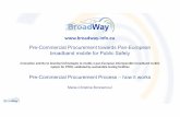 Pre-Commercial Procurement towards Pan-European broadband ... · Pre-Commercial Procurement towards Pan-European broadband mobile for Public Safety Innovation activity to develop