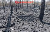 Questions?ocw.tsukuba.ac.jp/wp/wp-content/uploads/2017/10/Nick-sensei-05.pdf · Forest Fires Threaten New Fallout From Chernobyl By NUWER APRIL 6, 201S Forest fire breaks out near