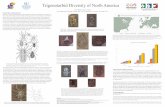 Trigonotarbid Diversity of North America€¦ · Trigonotarbid Diversity of North America Acknowledgments I would like to thank the Paleontological Soceity, Paleontological Research