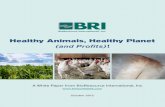 Healthy Animals, Healthy Planet - Optimizing Animal Nutrition · Healthy Animals, Healthy Planet (and Profits)! ... while, the solution seemed to lie in antibiotics. Producers have