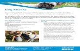 Dog Attacks - rockhamptonregion.qld.gov.au · at the dog’s fur put them at greater risk of dog bite injuries. Always supervise children as bites tend to occur when they are playing,