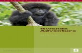 Rwanda Adventure - Stanford Universityalumni.stanford.edu/content/travel-study/brochures/... · Gorillas and Chimps in the mist July 4 to 14, 2014 a program of the stanford alumni