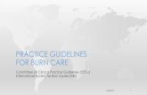 PRACTICE GUIDELINES FOR BURN CARE - 211 PEI · any center treating serious burn injuries with excisional surgery. An appropriate surgical plan should be made for each major burn patient.
