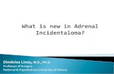 What is an adrenal incidentaloma? - Endokrin CerrahisiAn adrenal incidentaloma is defined as an adrenal tumor initially diagnosed by imaging studies (CT, ... Laparoscopic adrenalectomy