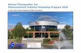 Amicus Therapeutics, Inc. Pharmaceutical Industry Fellowship …€¦ · Pharmaceutical Industry Fellowship Program 2020 1 Two-Year Global Medical Affairs Position. 2 Contents About