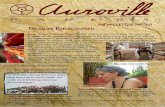 NEWSLETTER NO · NEWSLETTER NO 10 From the time Auroville PAPers started, that is to say more than 15 years ago, a week hardly passes without someone in the team trying his hand at
