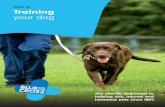 DOG 16 Training your dog - bluecross.org.uk · jumping up will not need to be shut . out of the room when visitors arrive dog that walks on a loose lead is A much more likely to be