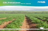 GB Potatoes - Microsoft · 2 3 Foreword 4 Season overview Section 1 – The GB potato industry 5 The GB potato industry 5 Trends in planted area 6 Consolidation of the industry 6