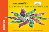 Lettuce and Spinach - Terranova Seeds New Zealandterranovaseeds.co.nz/wp-content/.../01/...NOV2016.pdf · market and so continue to be market leaders in lettuce and spinach. Their