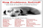 Dog Problems Solved - demonx.orgdemonx.org/mom/Dog-Problems-Solved.pdf · Dog Problems Solved! - :: -