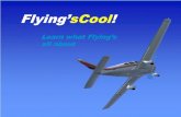 Flying’sCool! · b+ ½ρvb 2 P = Pressure of fluid v = Velocity of fluid ρ= Density of fluid Viscosity of fluid neglected Pa P b. Flying’sCool! Lift • Lift Is Generated By