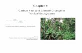 Carbon Flux and Climate Change in Tropical …assets.press.princeton.edu/links/kricher/slides/chap9.pdfCarbon Flux and Climate Change in Tropical Ecosystems FIGURE 9-1 This is the