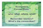 Ecosystem Connections: who, what, where, when Remember ...jrscience.wcp.muohio.edu/downloads/connectivity_donna.pdf · Ecosystem Connections: who, what, where, when Remember biomes?