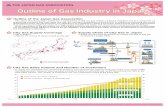 Outline of Gas Industry in Japan · The Japan Gas Association (JGA) has a membership of 206 city gas utilities as formal members and 271 companies as supporting members that have