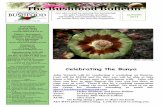 The Bushfood BulletinQld Bushfood Association Inc. Autumn 2014 Page 2 Grafting Burdekin Plums - Pleiogynium timorense by Grant Paterson Sheryl: I have been trying for a very long time