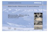 Mineração, Minerais e Desenvolvimento Sustentávelpubs.iied.org/pdfs/G00710.pdf · Mineração,Minerais e Desenvolvimento Sustentável). O projeto atraiu o apoio de mais de 40 patrocinadores