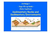 Ólafur Ingólfsson Sedimentary Rocks and Sedimentary Environmentsoi/Historical Geology pdf/2-Sedimentary Rocks... · Sedimentary Rocks and Sedimentary Environments. Sedimentary Rocks