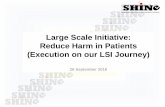 Large Scale Initiative: Reduce Harm in Patients (Execution ... · 9/26/2016  · Reduce Harm in Patients (Execution on our LSI Journey) 26 September 2016 . All Teach, All Learn, All