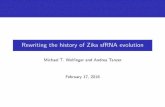 Rewriting the history of Zika sfRNA evolution · Rewriting the history of Zika sfRNA evolution Michael T. Wol nger and Andrea Tanzer February 17, 2016