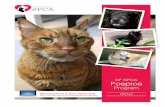 SF SPCA Fospice - San Francisco SPCA 2 | SF SPCA Fospice Program Manual SF SPCA Fospice Program Manual