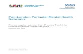 Pan London Perinatal Mental Health Networks · planning-guidance-for-Perinatal-Mental-Health-Networks.pdf Untreated mental illness in the perinatal period places the woman and her