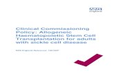 Clinical Commissioning Policy: Allogeneic Haematopoietic ... · About allogeneic haematopoietic stem cell transplantation for adults with sickle cell disease Sickle cell disease (SCD)