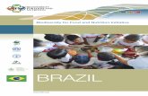 BRAZIL - Biodiversity for Food and Nutrition€¦ · Additional nutrient data will be generated by undertaking food composition analysis for those species for which information is