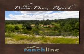 the Pinon Draw Ranch · the Pinon Draw Ranch is an excellent cattle operation. This ranch has a little bit of everything. Extremely well watered with tremendous improvements, this