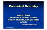 Preclinical Dentistry I. - Masaryk University · Preclinical Dentistry I. Dental Caries Non carious lesions : trauma, erosion . abrasion , wedge shaped ... Dental Caries -Treatment