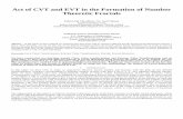 Act of CVT and EVT in the Formation of Number Theoretic Fractalshmg/HMG_files/1.pdf · in a number of diverse arenas of science such as Astronomy, Biology, Mathematics, Physics, and